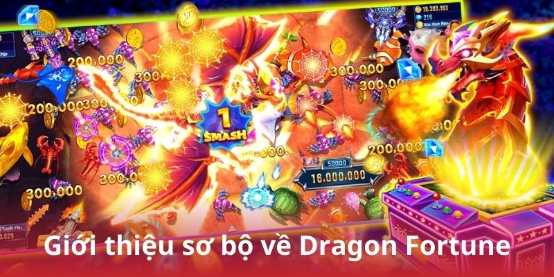 Giới thiệu sơ bộ về Dragon Fortune