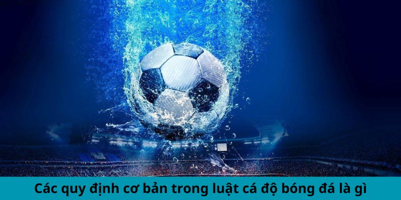 Các quy định cơ bản trong luật cá độ bóng đá là gì